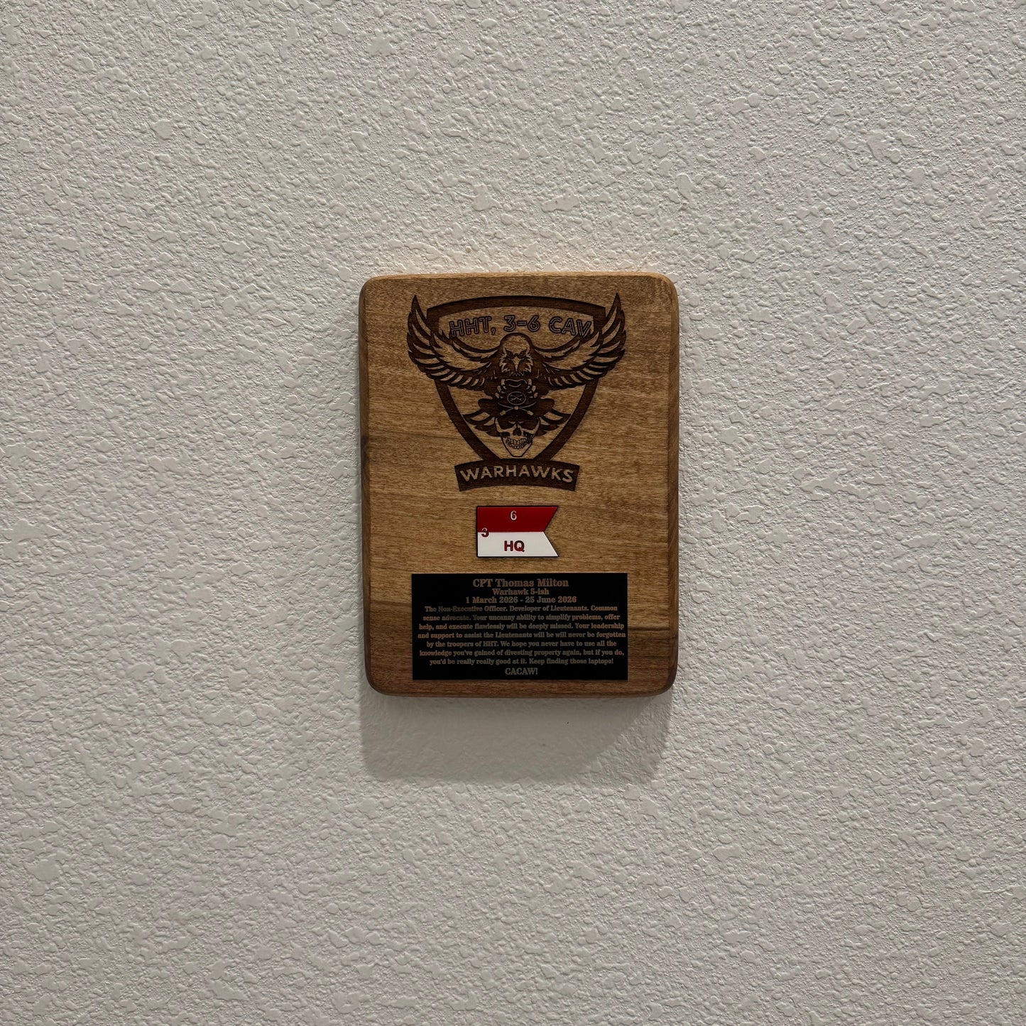 Warhawk Mini Guidon Plaque